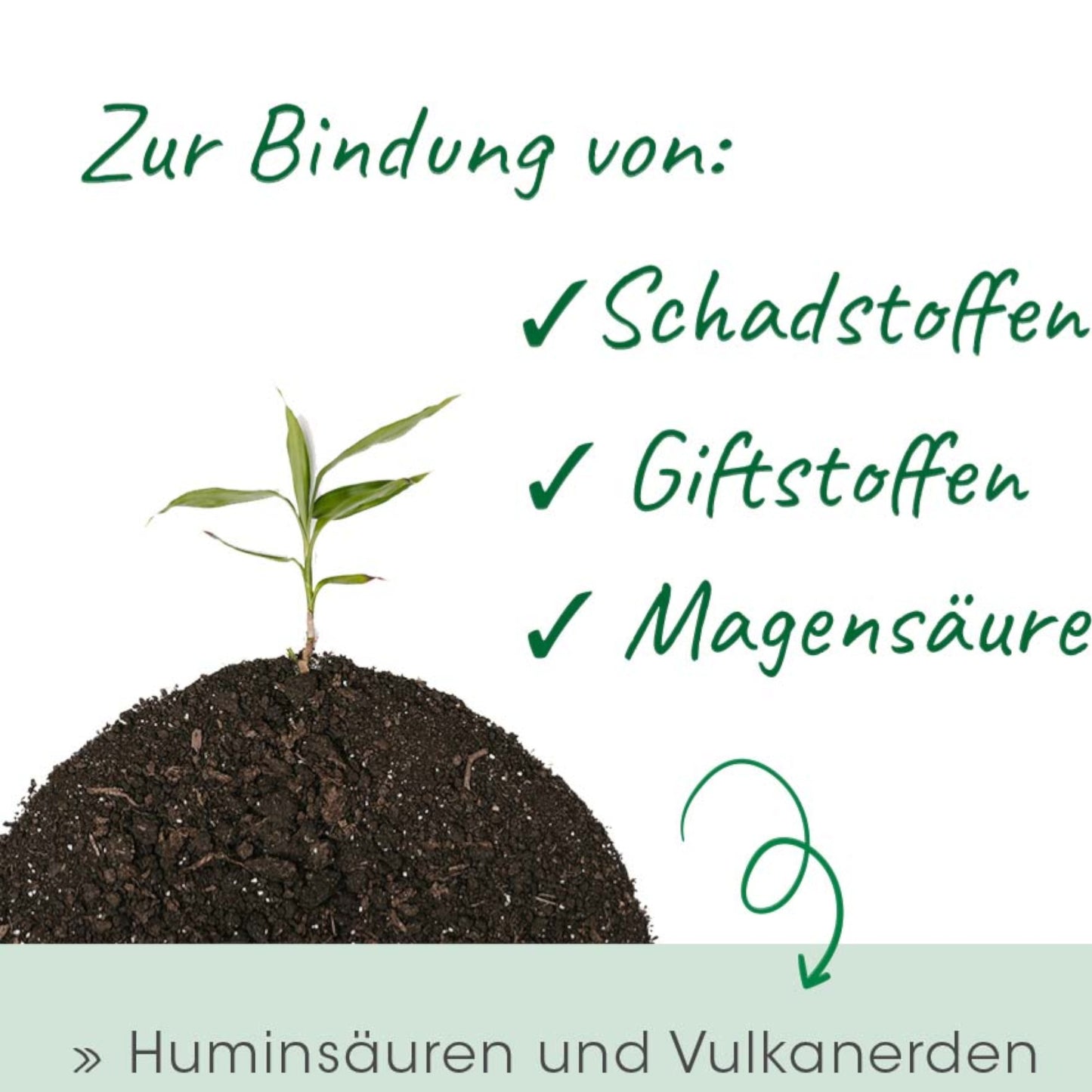 cdVet Dog & Cat – Magenschutz
