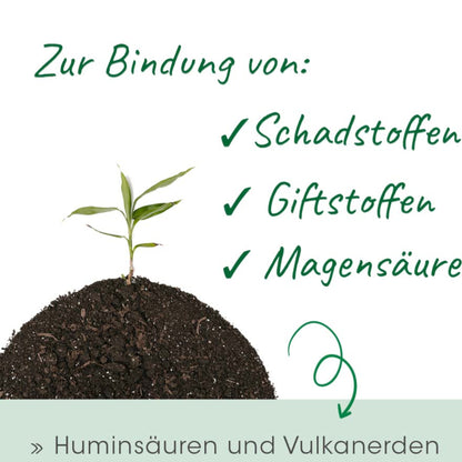 cdVet Dog & Cat – Magenschutz