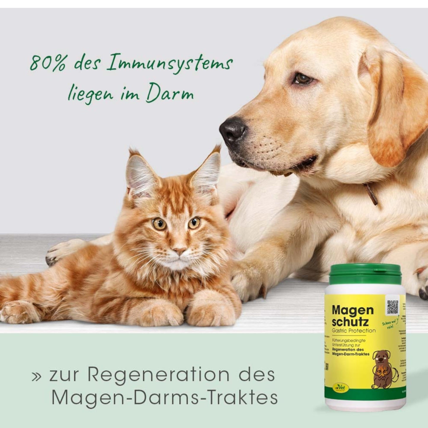 cdVet Dog & Cat – Magenschutz
