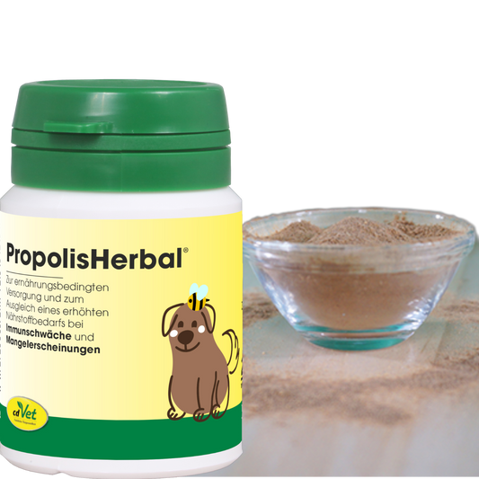 cdVet Dog & Cat – PropolisHerbal