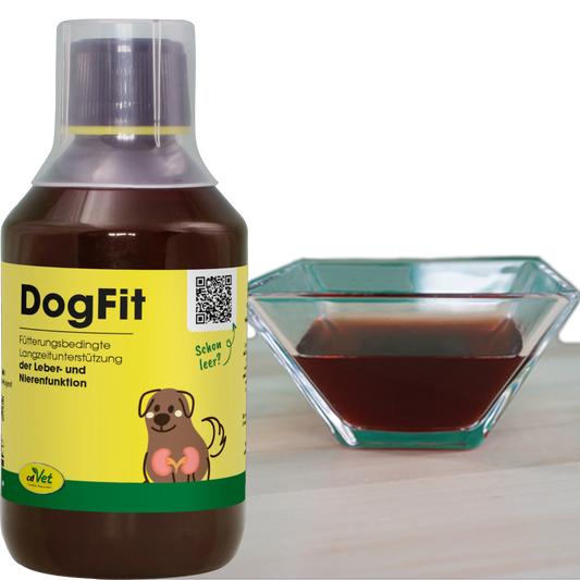 cdVet Dog – DogFit