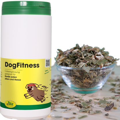 cdVet Dog – DogFitness