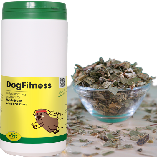 cdVet Dog – DogFitness