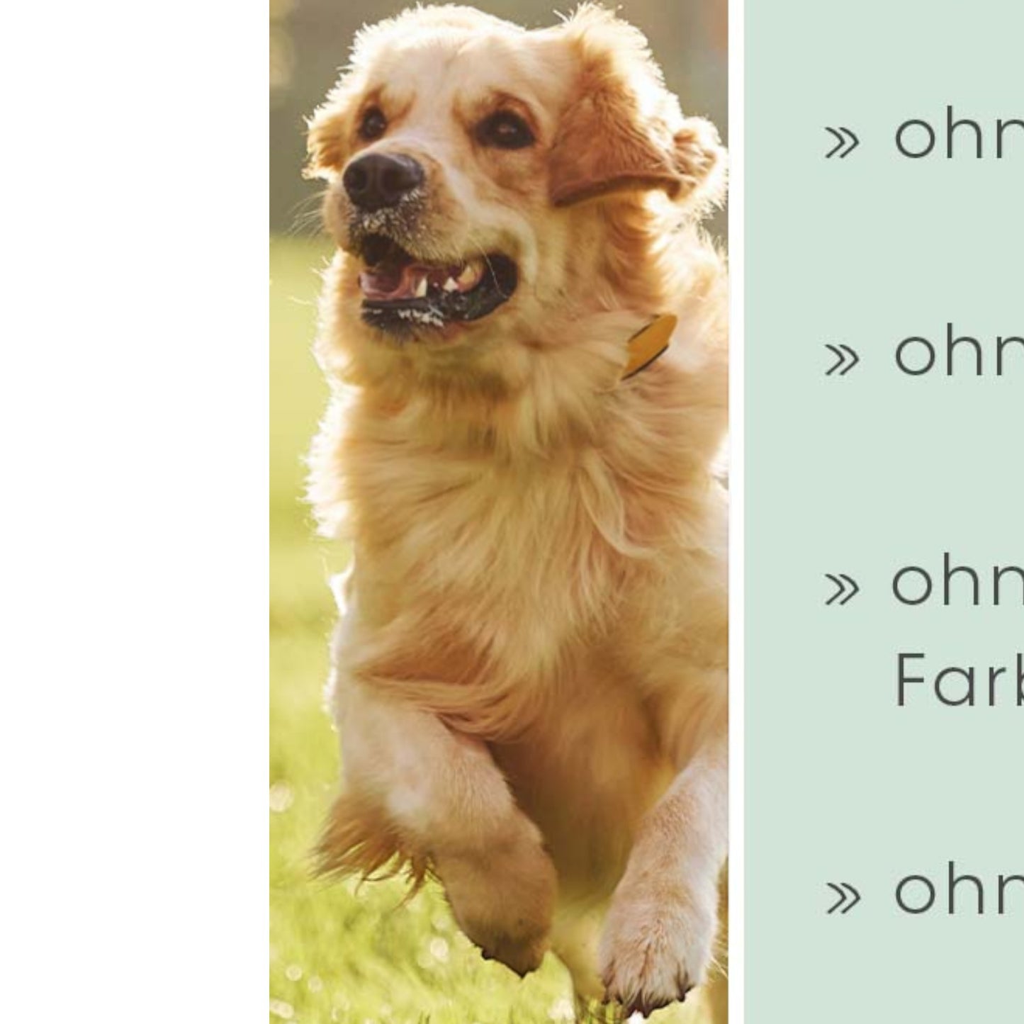 cdVet Dog – Ohrenpflege für Hunde