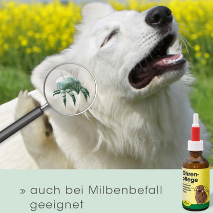 cdVet Dog – Ohrenpflege für Hunde