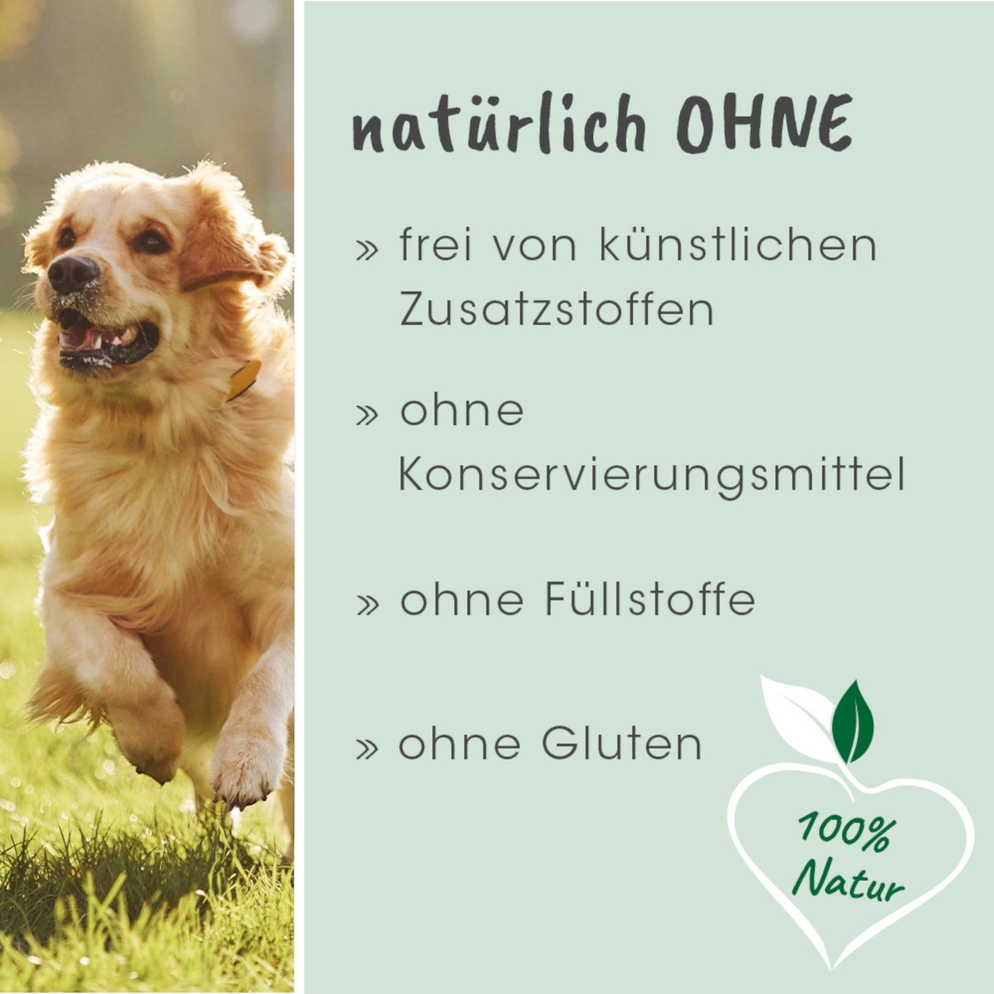 cdVet Dog – Schonkost