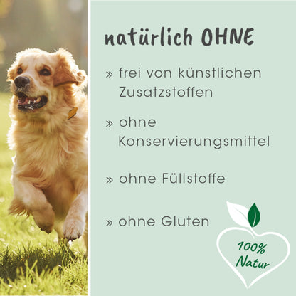 cdVet Dog – Schonkost