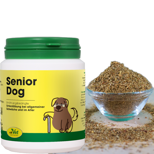 cdVet Dog – SeniorDog