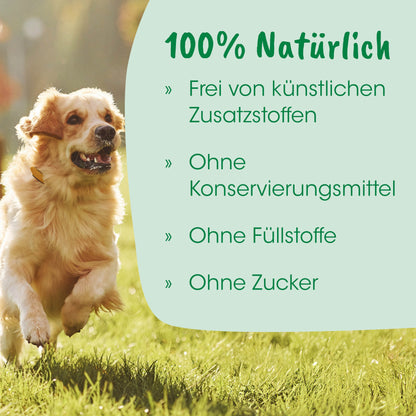 cdVet Dog – Welpenmilch