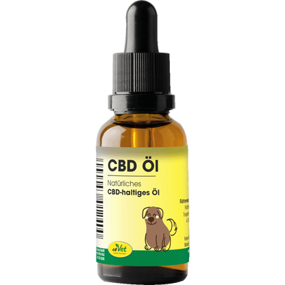 cdVet Dog – CBD Öl