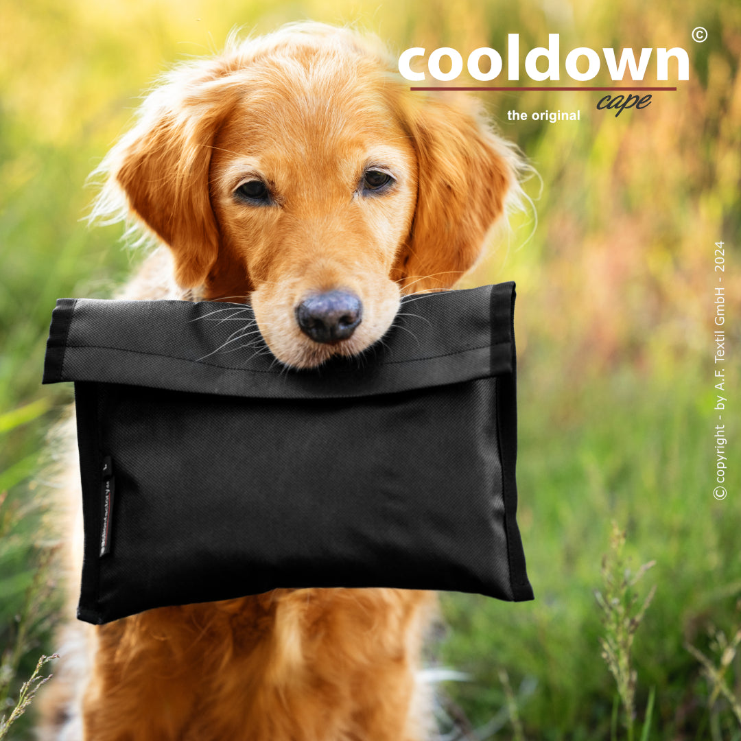 Cooldown Cape Big – Passiver Sonnenschutz für deinen Hund