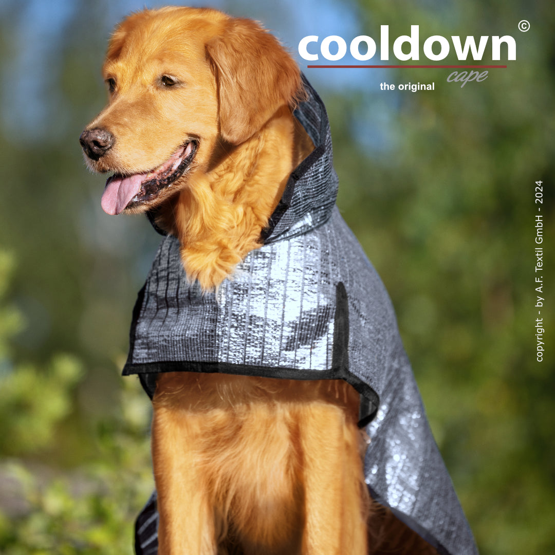 sonnensegel hund Cooldown Cape – Passiver Sonnenschutz für deinen Hund – Dein Fellnasen Shop