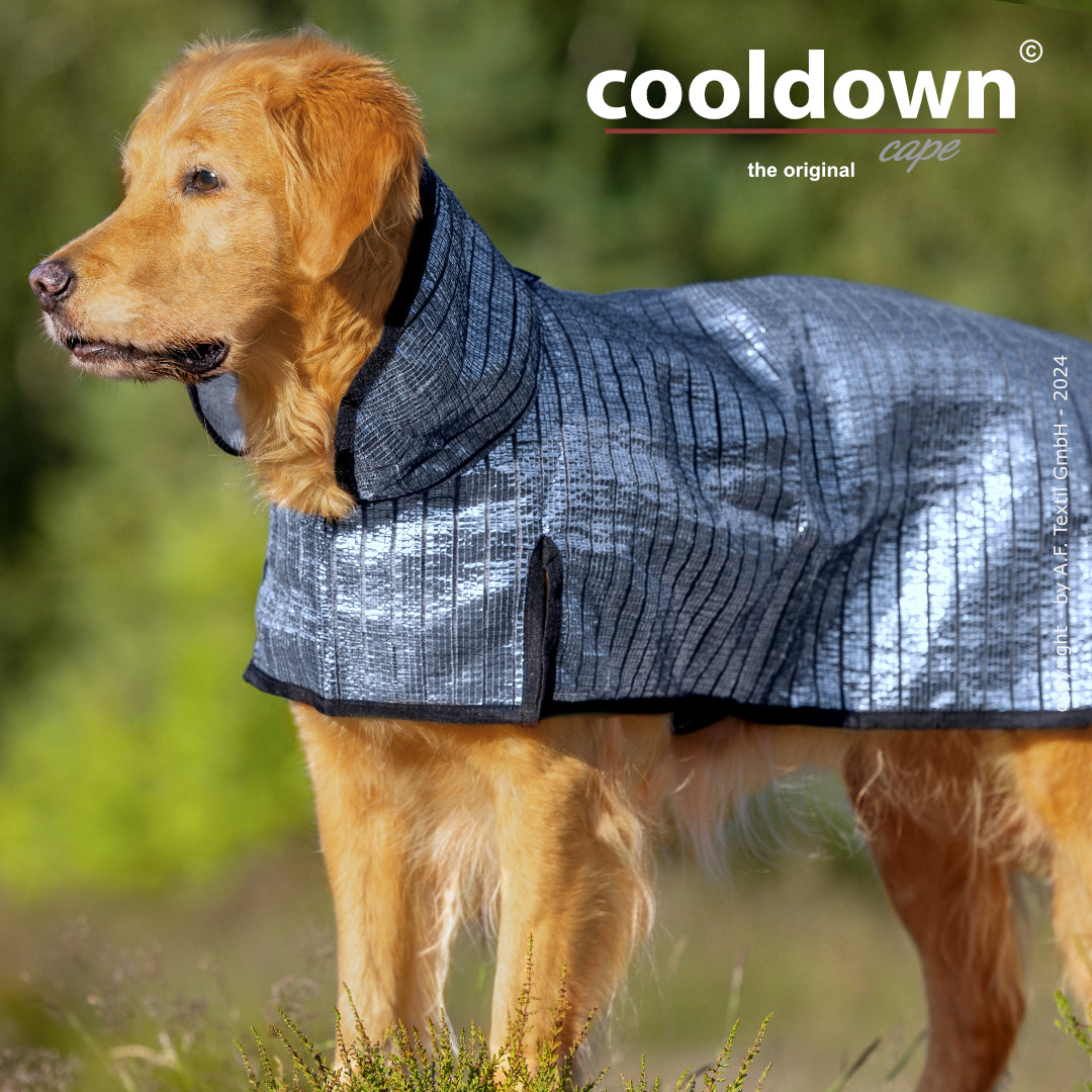 Cooldown Cape Big – Passiver Sonnenschutz für deinen Hund