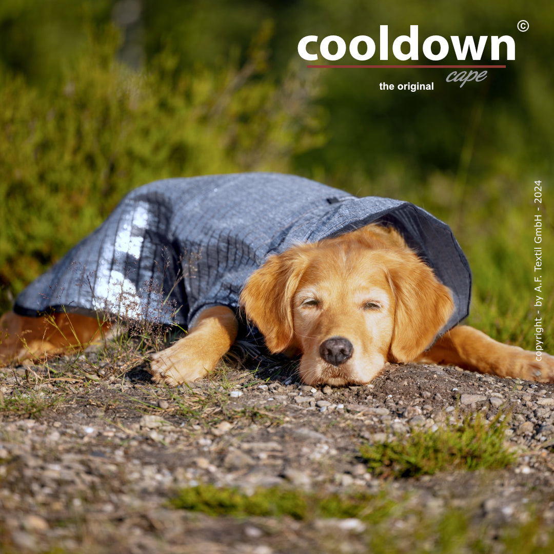 Cooldown Cape Big – Passiver Sonnenschutz für deinen Hund