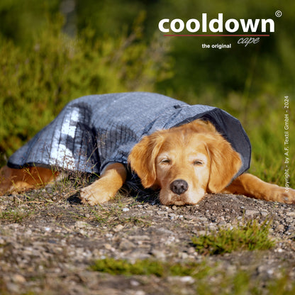 Cooldown Cape Big – Passiver Sonnenschutz für deinen Hund