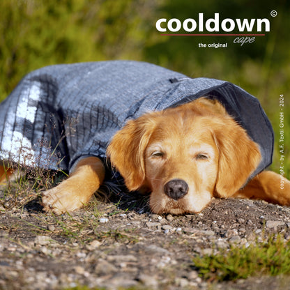 Cooldown Cape Big – Passiver Sonnenschutz für deinen Hund