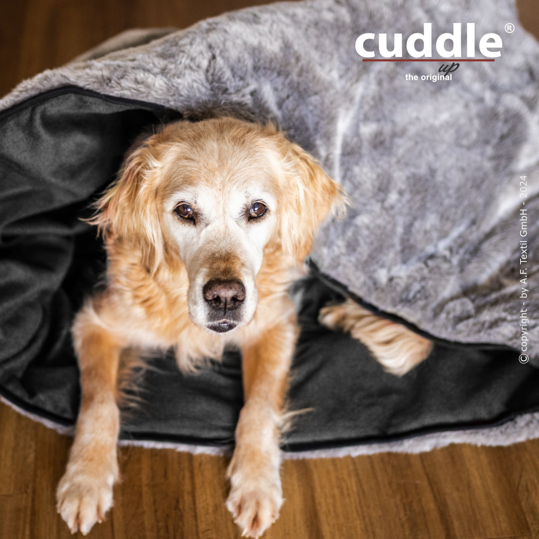 Cuddle Up – Der wandelbare Hundeliegeplatz