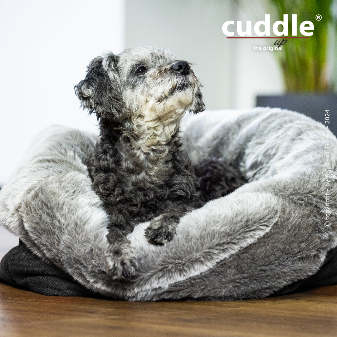 Cuddle Up – Der wandelbare Hundeliegeplatz