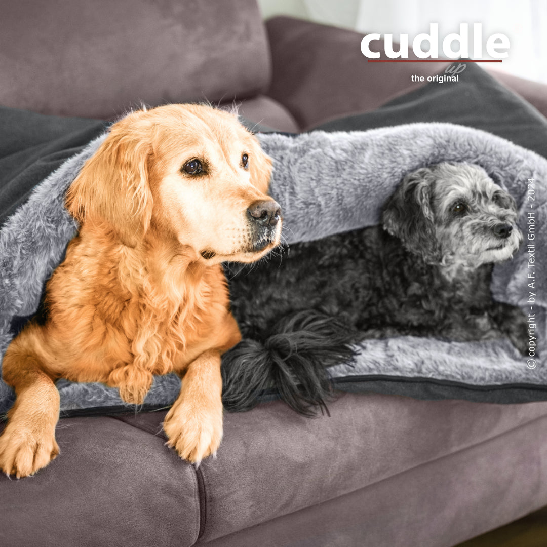 Cuddle Up – Der wandelbare Hundeliegeplatz
