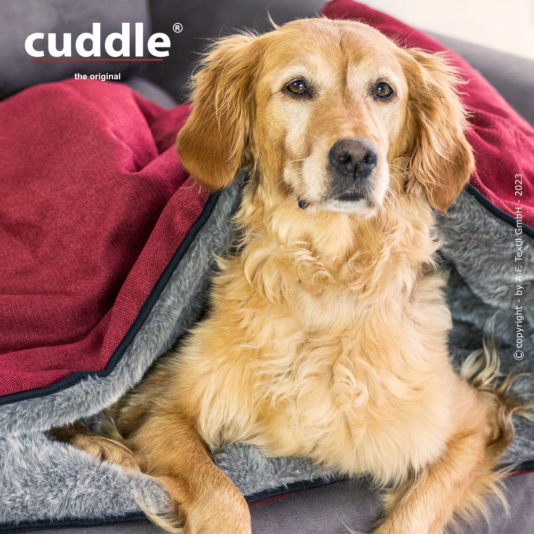 Cuddle Up – Der wandelbare Hundeliegeplatz