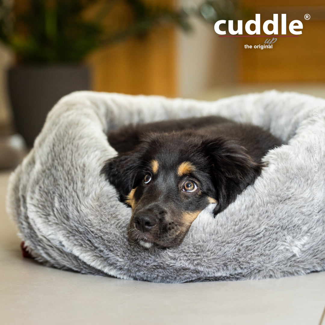 Cuddle Up – Der wandelbare Hundeliegeplatz