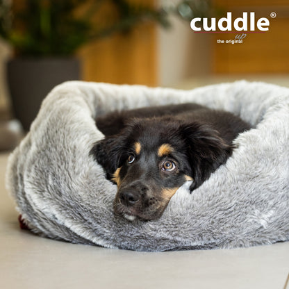 Cuddle Up – Der wandelbare Hundeliegeplatz
