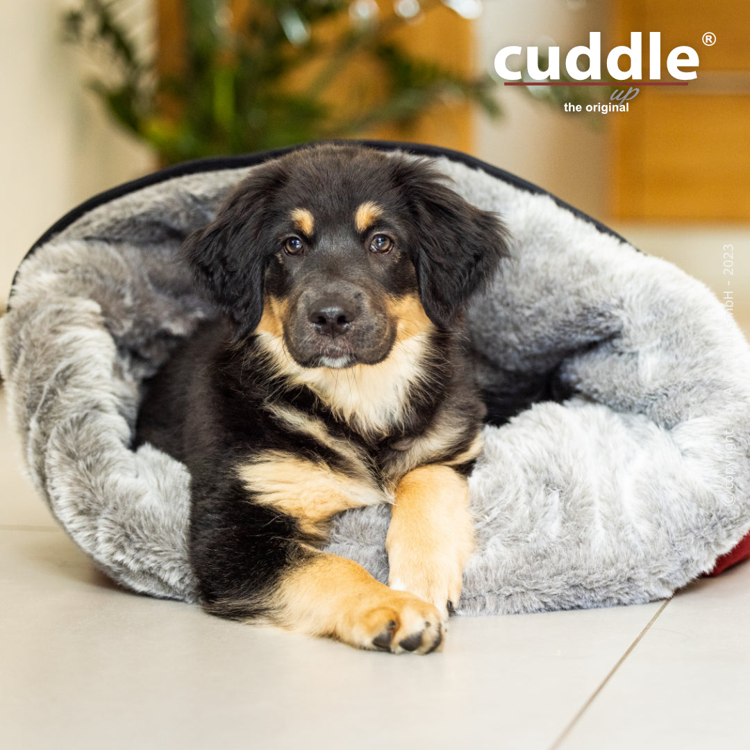 Cuddle Up – Der wandelbare Hundeliegeplatz