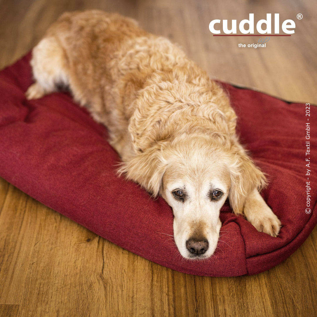 Cuddle Up – Der wandelbare Hundeliegeplatz