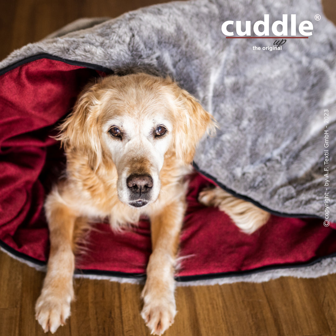 Cuddle Up – Der wandelbare Hundeliegeplatz