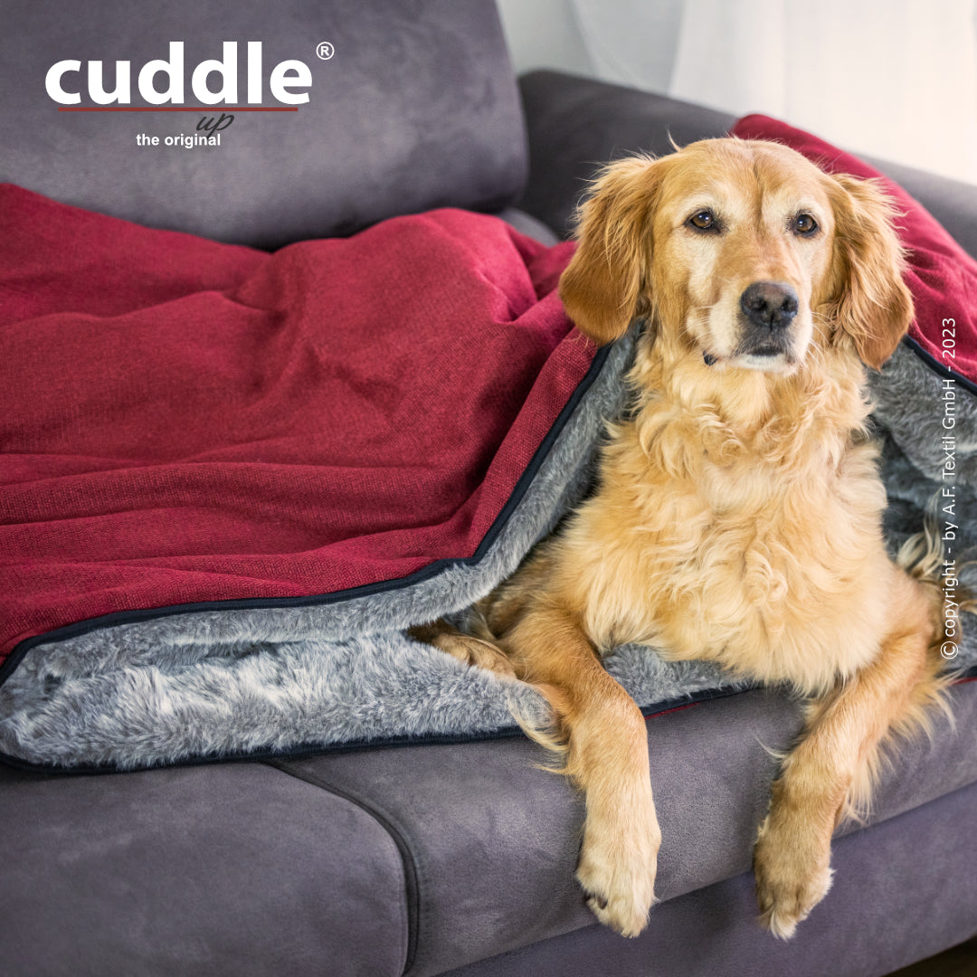 Cuddle Up – Der wandelbare Hundeliegeplatz