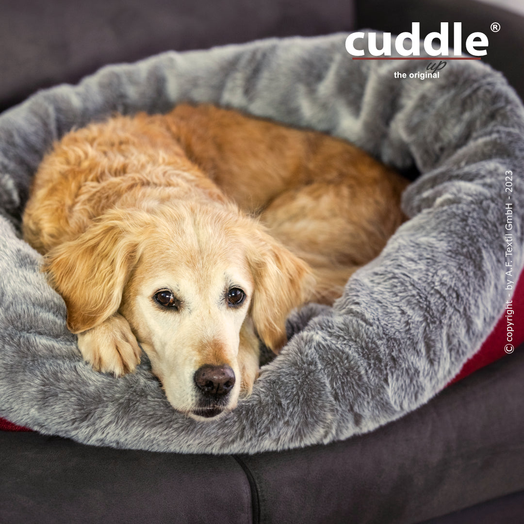 Cuddle Up – Der wandelbare Hundeliegeplatz