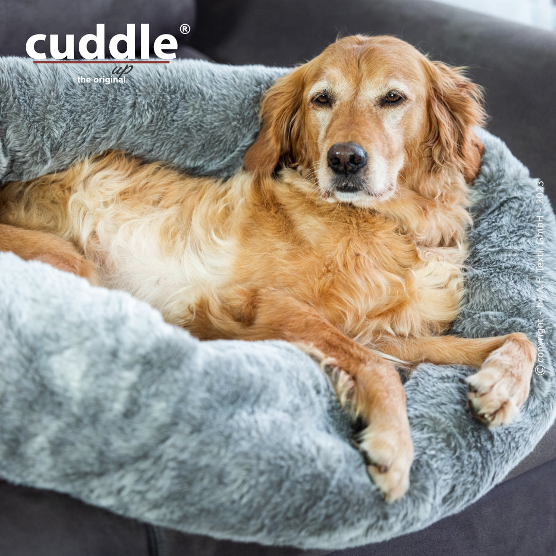 Cuddle Up – Der wandelbare Hundeliegeplatz