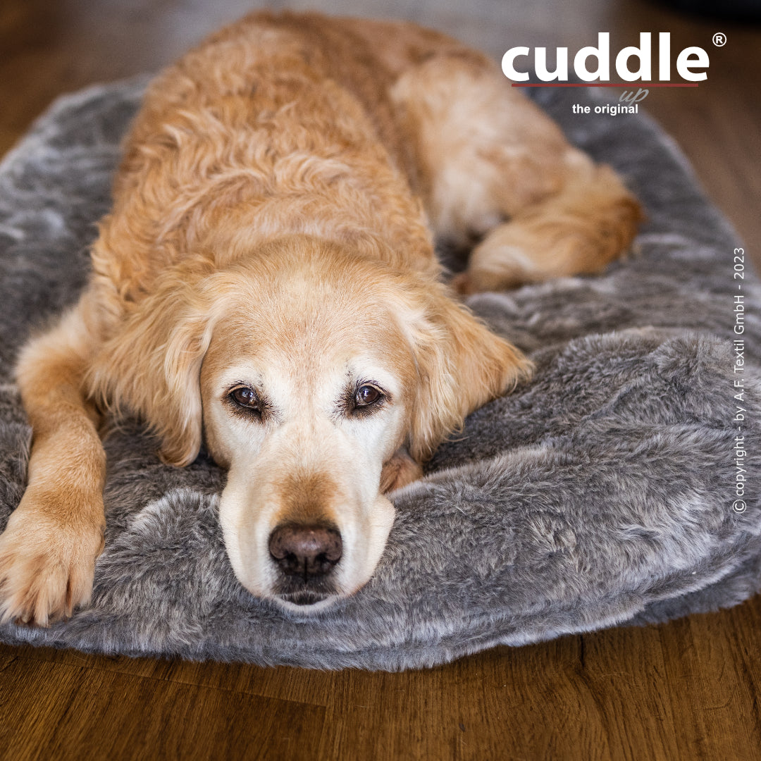 Cuddle Up – Der wandelbare Hundeliegeplatz