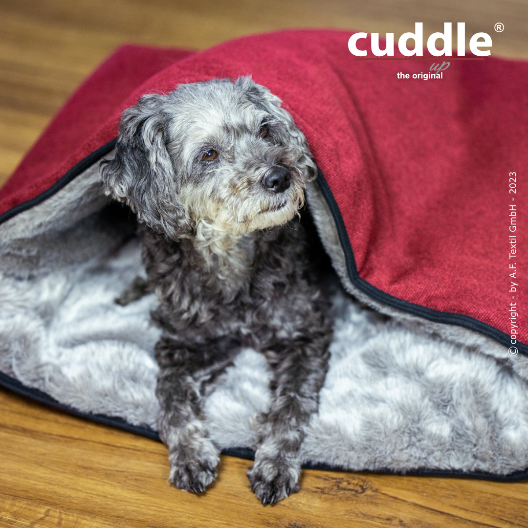 Cuddle Up – Der wandelbare Hundeliegeplatz