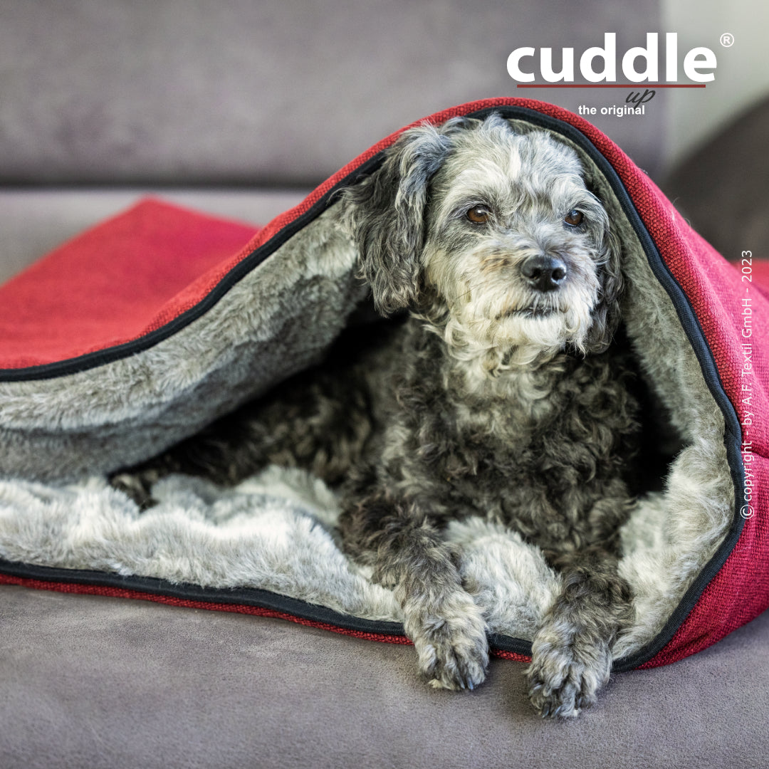Cuddle Up – Der wandelbare Hundeliegeplatz