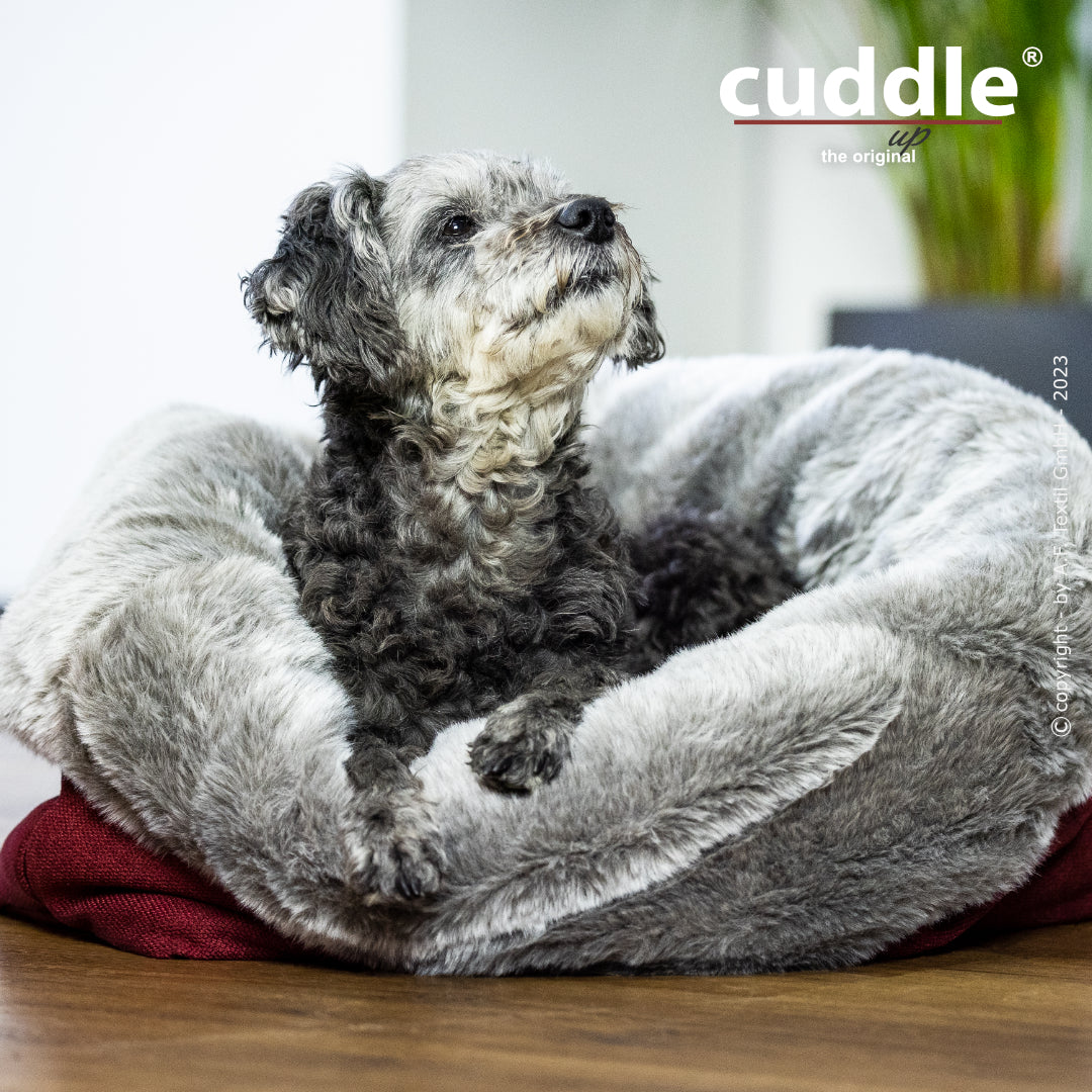 Cuddle Up – Der wandelbare Hundeliegeplatz