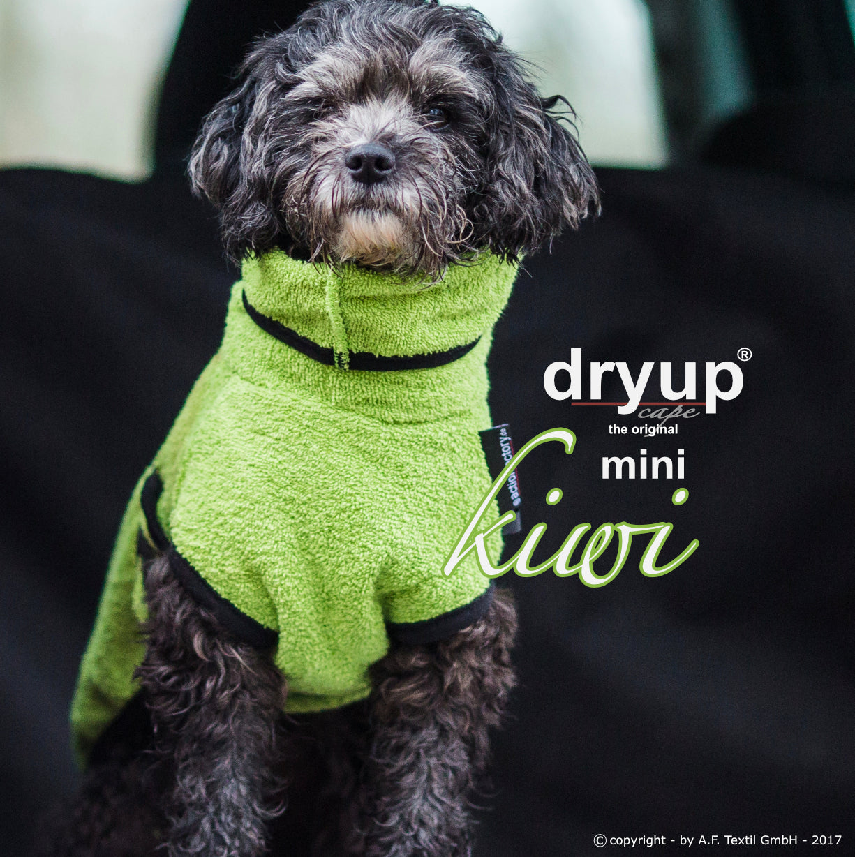 DRYUP CAPE Mini – Hundebademantel für die Kleinen und Kleinsten