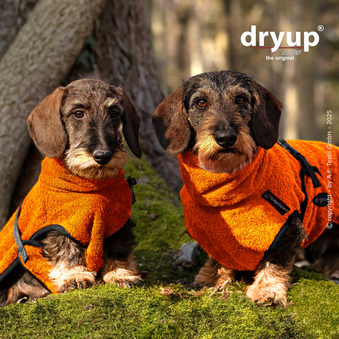 DRYUP CAPE Dackel & Co – Hundebademantel für langrückige Rassen