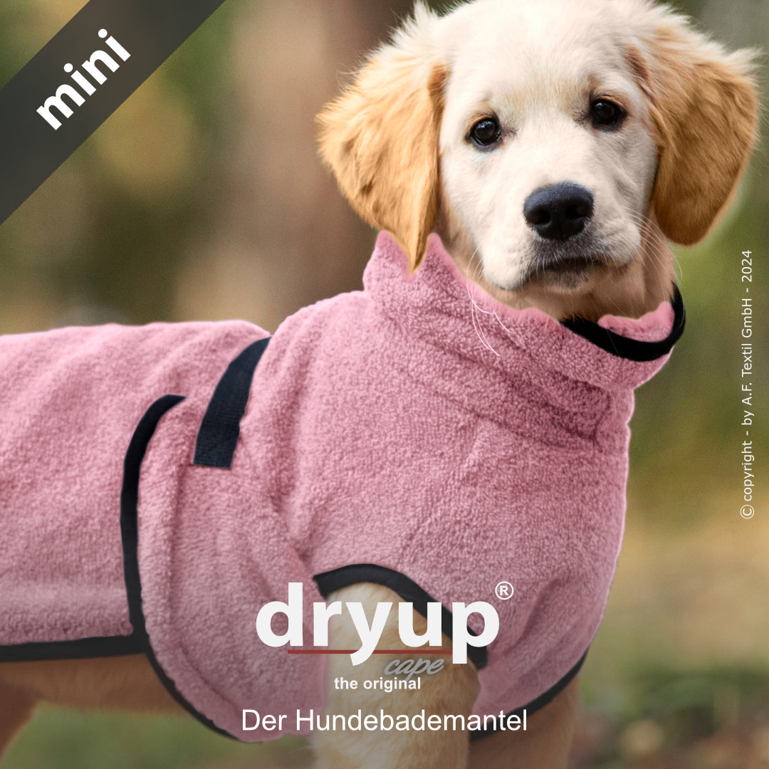 DRYUP CAPE Mini – Hundebademantel für die Kleinen und Kleinsten