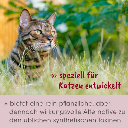 feliTATZ AbwehrKonzentrat