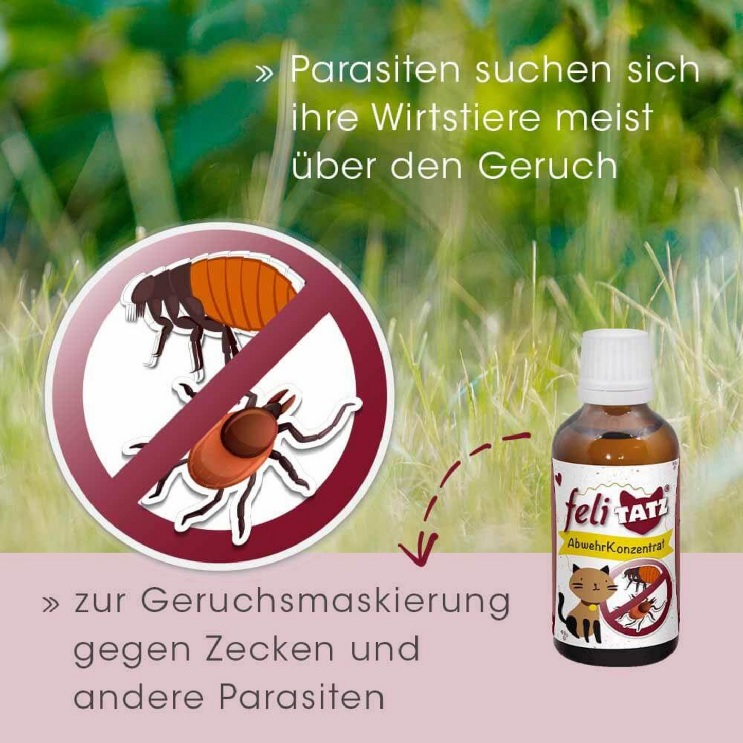 feliTATZ AbwehrKonzentrat