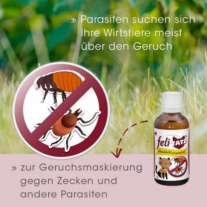 feliTATZ AbwehrKonzentrat