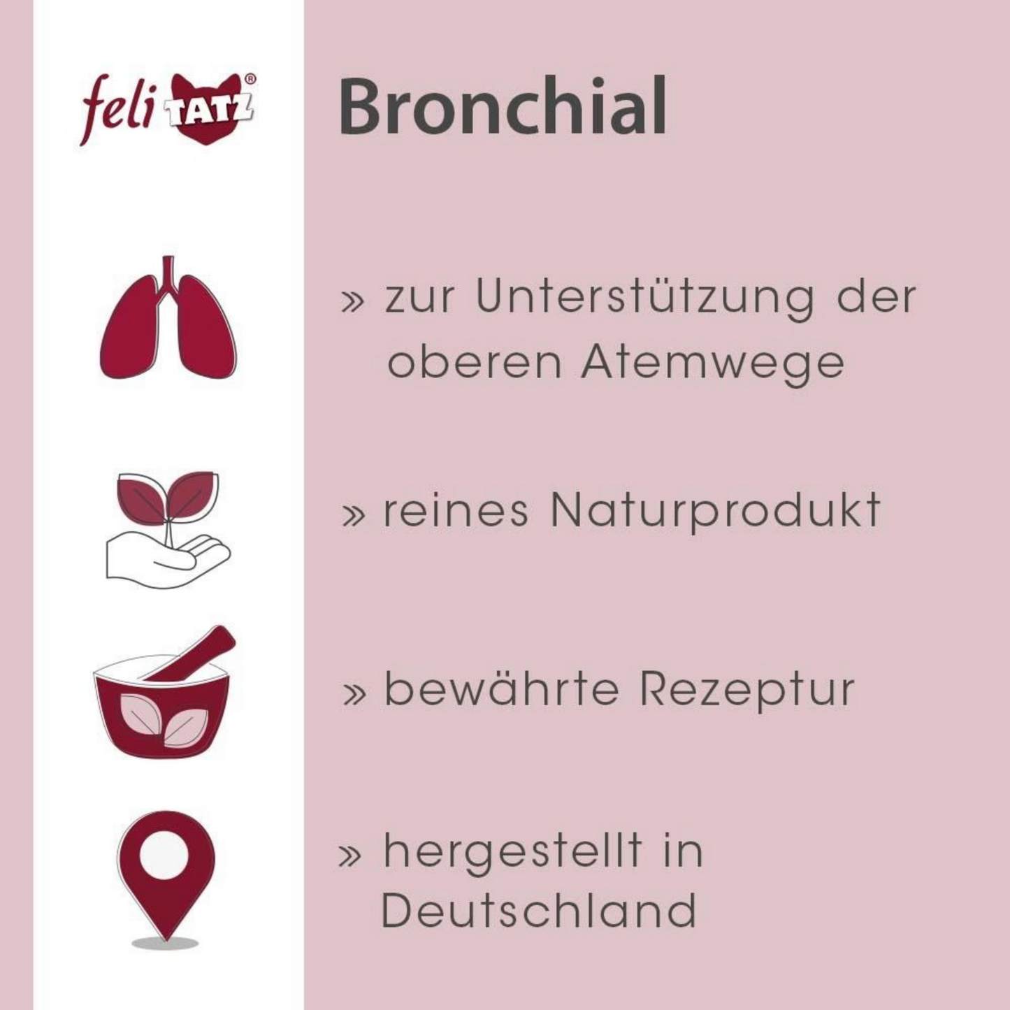feliTATZ Bronchial