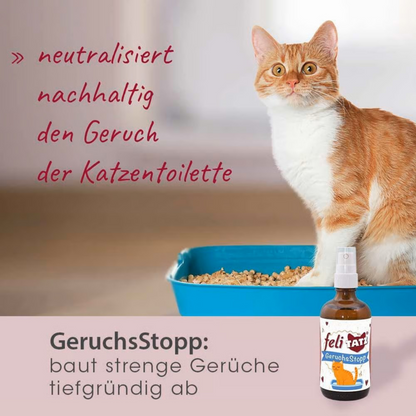 feliTATZ GeruchsStopp