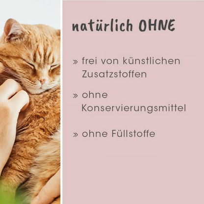 feliTATZ GeruchsStopp