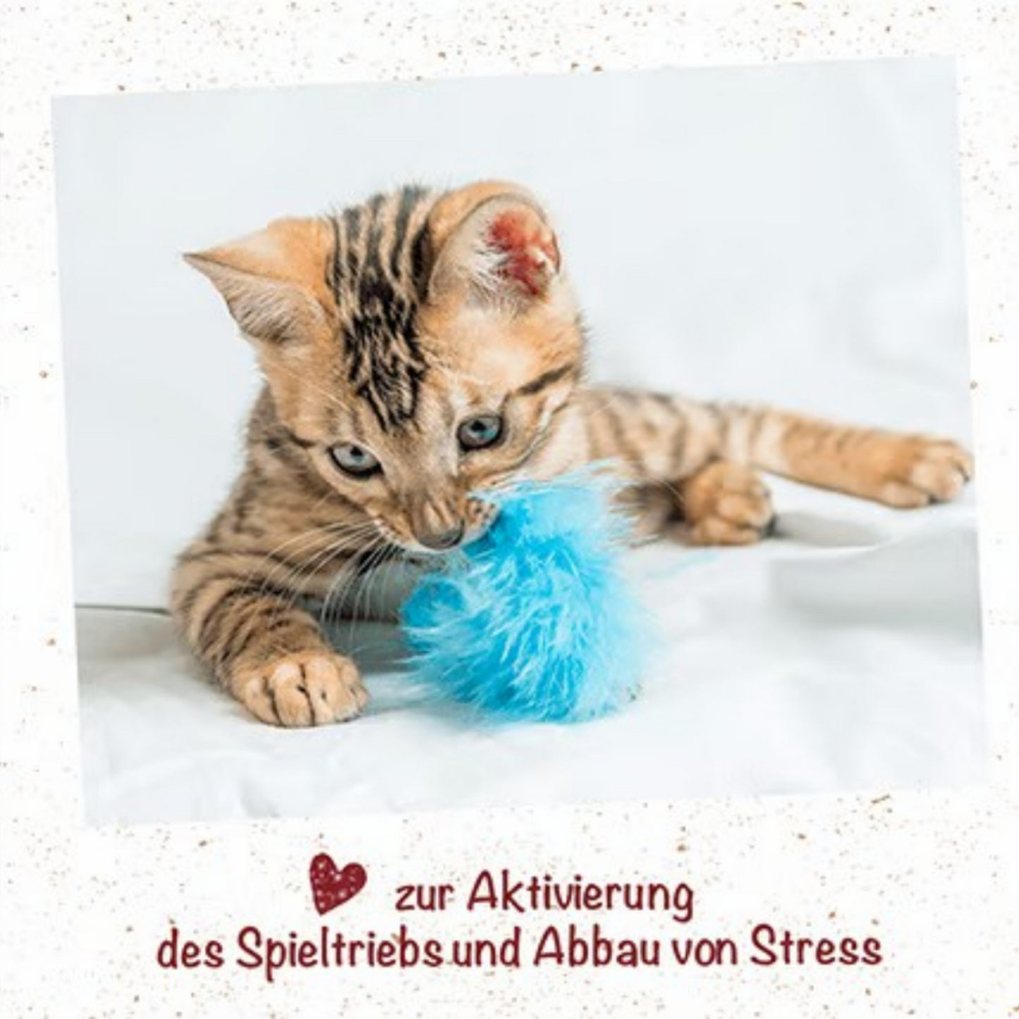 feliTATZ KatzenMinze Spray