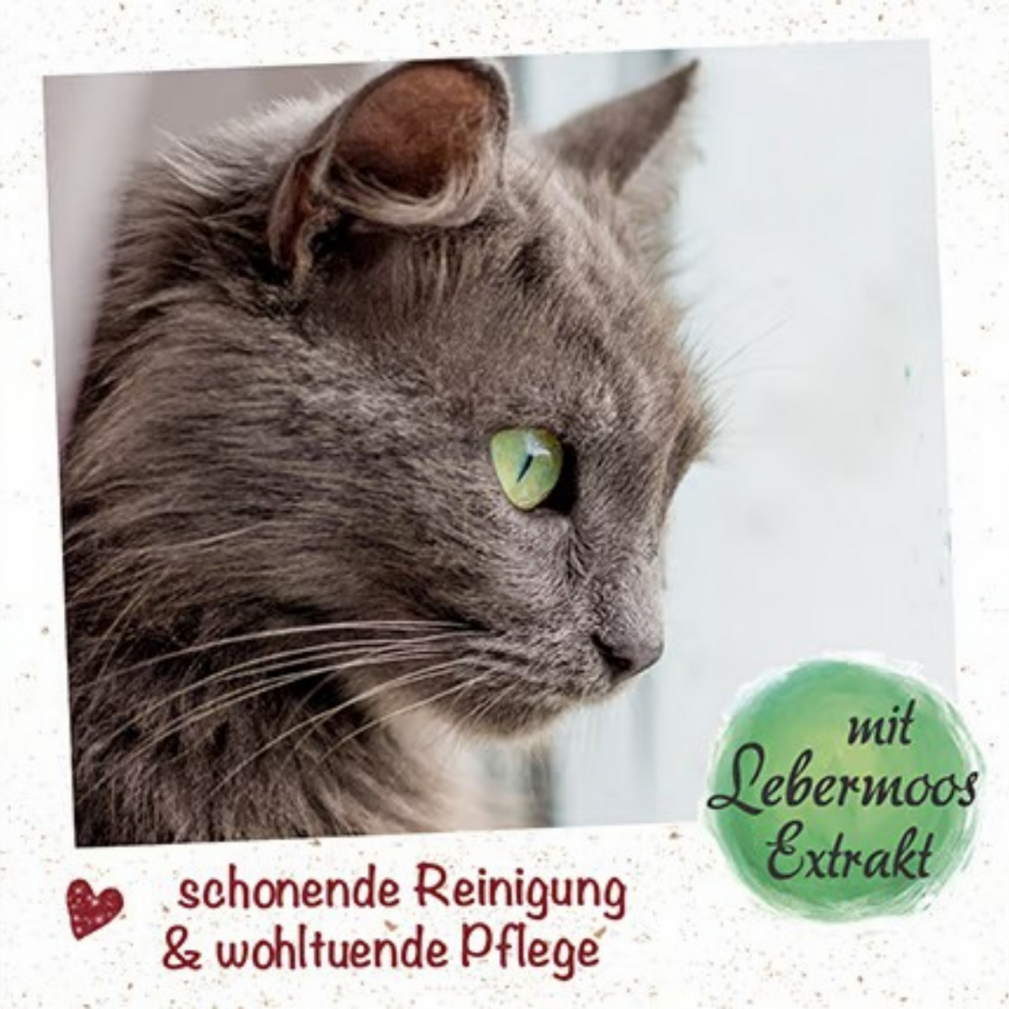 feliTATZ OhrReiniger