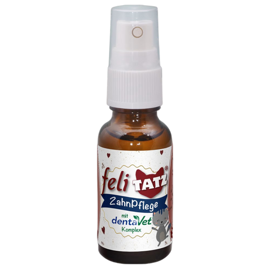 feliTATZ ZahnPflege