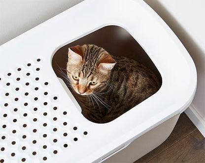 Savic Katzentoilette Hop In – Die smarte Lösung für ein sauberes Zuhause!