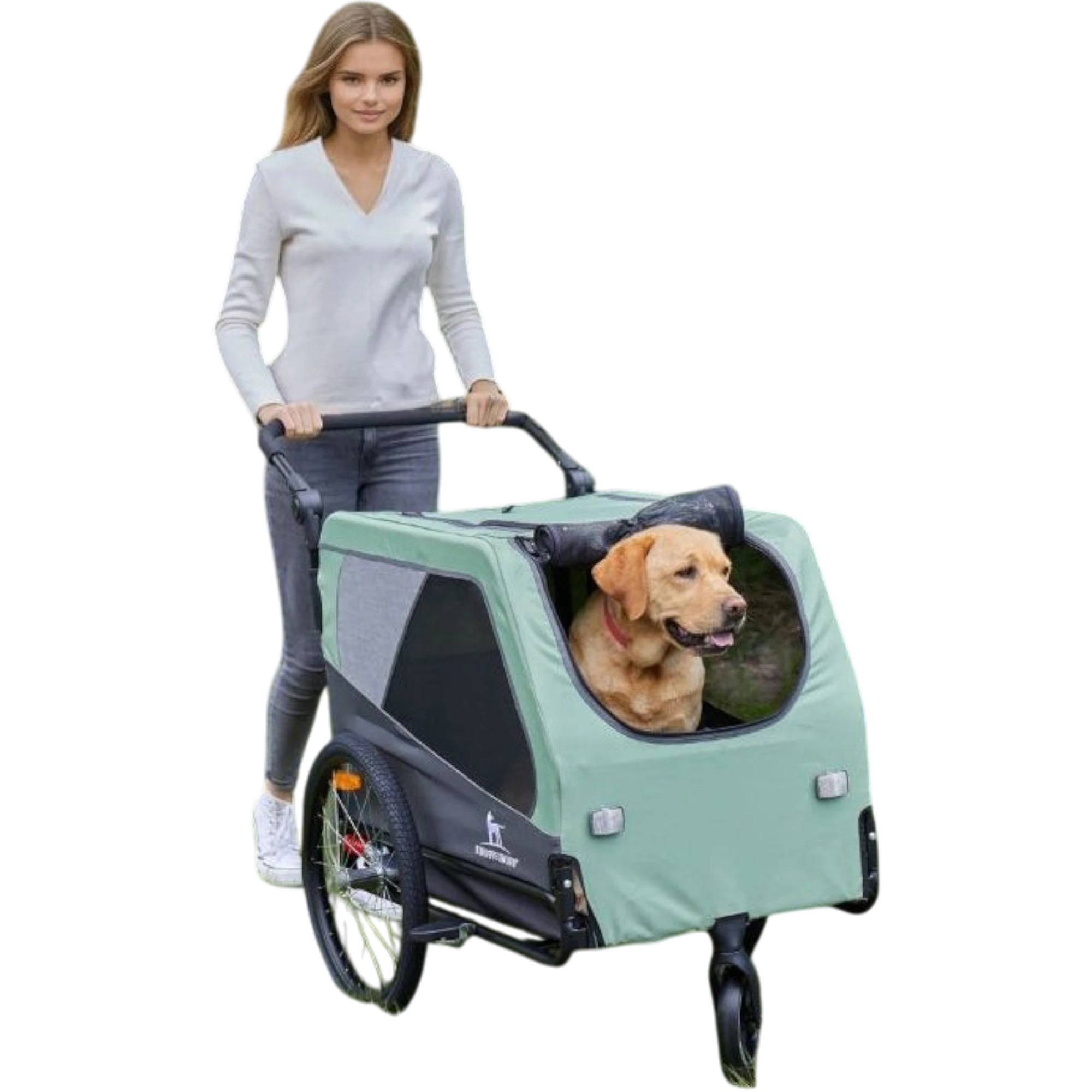 Knuffelwuff Cruvado – sicherer Hundeanhänger & Buggy für komfortable A – Dein Fellnasen Shop